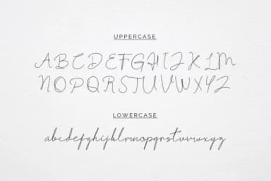 Fribourg Font by Helotype — Script Handwritten Font — thumbnail 9