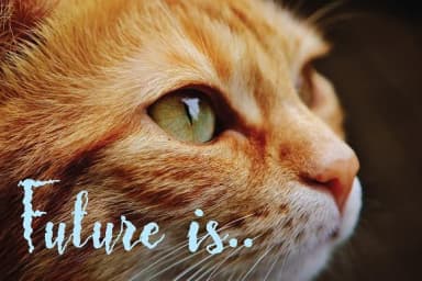 Frizzy Bella Font by Royaltype — Script Handwritten Font — thumbnail 5