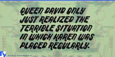 ACROYEAR by Typodermic Fonts Inc. — Decorative Font — thumbnail 3