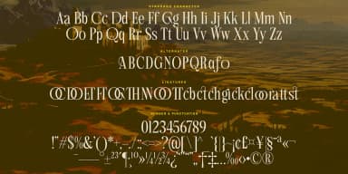 Aglio Picasso by Jolicia Type — Decorative Font — thumbnail 7