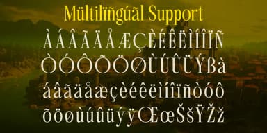 Aglio Picasso by Jolicia Type — Decorative Font — thumbnail 8