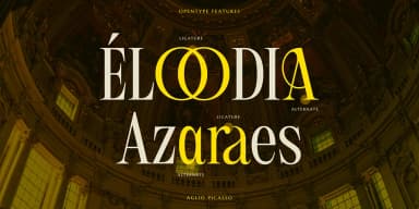 Aglio Picasso by Jolicia Type — Decorative Font — thumbnail 9