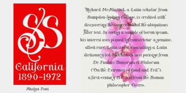 Aholya by TypeClassHeroes — Decorative Font — thumbnail 2