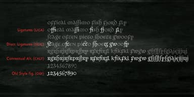 Albermont by Andreas Stötzner — Blackletter Font — thumbnail 8