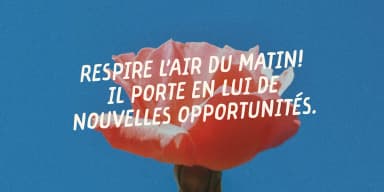 ALMOND CROISSANT by type peace — Display Font — thumbnail 10