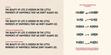 ALMOND CROISSANT by type peace — Display Font — thumbnail 9