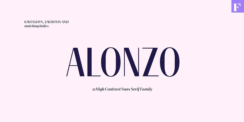 Alonzo by Fenotype — Decorative Font — preview 1