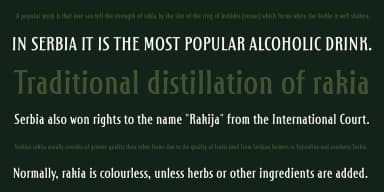 Amanet by Tour de Force Font Foundry — Dingbats Font — thumbnail 2