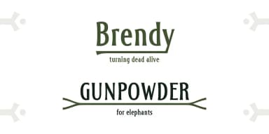 Amanet by Tour de Force Font Foundry — Dingbats Font — thumbnail 4