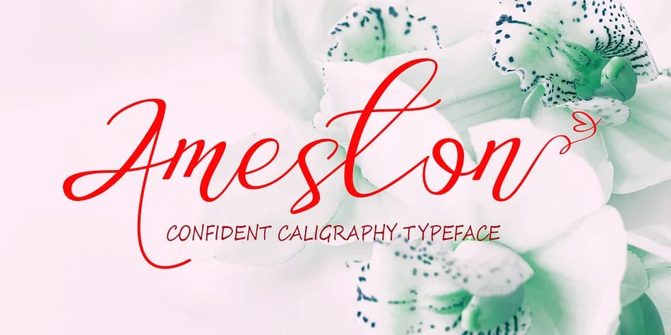 Ameston by Gatype — Decorative Font