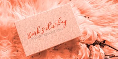 Ameston by Gatype — Decorative Font — thumbnail 8