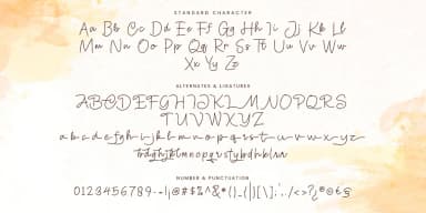 Amigos Line by Jolicia Type — Script Handwritten Font — thumbnail 9