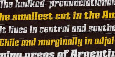 Ancoa Slanted by Rodrigo Typo — Display Font — thumbnail 7