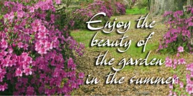 Archivo by Scholtz Fonts — Script Handwritten Font — thumbnail 4