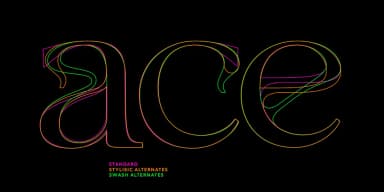 Ark by Fenotype — Decorative Font — thumbnail 4