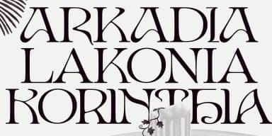 Ark by Fenotype — Decorative Font — thumbnail 5