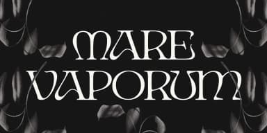 Ark by Fenotype — Decorative Font — thumbnail 6