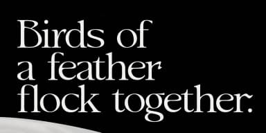 Ark by Fenotype — Decorative Font — thumbnail 8