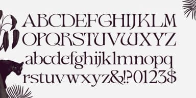 Ark by Fenotype — Decorative Font — thumbnail 9