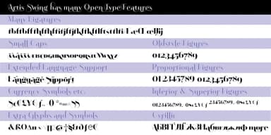 Artis by Wiescher-Design — Decorative Font — thumbnail 7