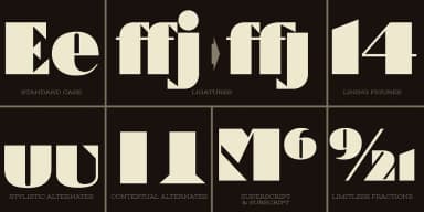 Artisinal by Stiggy & Sands — Decorative Font — thumbnail 8