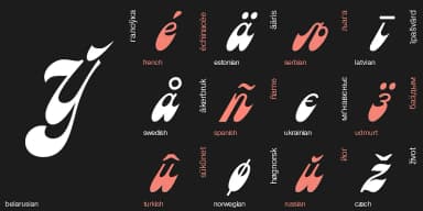 Astron by ParaType — Script Handwritten Font — thumbnail 5