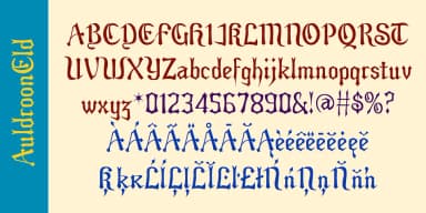 Auldroon Super Family by Ingrimayne Type — Blackletter Font — thumbnail 6