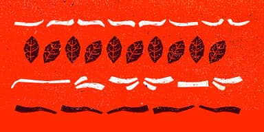 Balzac by Rodrigo Typo — Dingbats Font — thumbnail 6