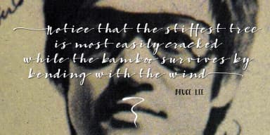 Bambusa Pro by Fontforecast — Display Font — thumbnail 5