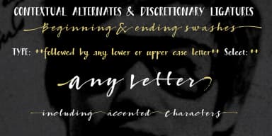 Bambusa Pro by Fontforecast — Display Font — thumbnail 7