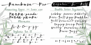 Bambusa Pro by Fontforecast — Display Font — thumbnail 9