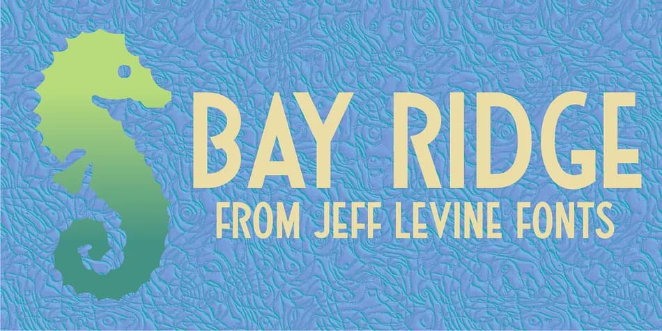 BAY RIDGE JNL by Jeff Levine Fonts — Decorative Font