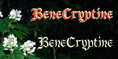 BeneCryptine by Ingrimayne Type — Blackletter Font — thumbnail 2