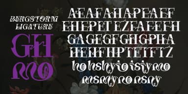 Bergstorm by TypeClassHeroes — Decorative Font — thumbnail 4