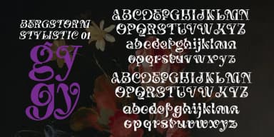 Bergstorm by TypeClassHeroes — Decorative Font — thumbnail 6