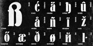 Bernhard by ParaType — Decorative Font — thumbnail 4