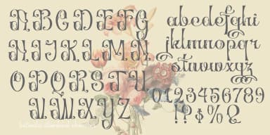 Betonila by TypeClassHeroes — Decorative Font — thumbnail 4