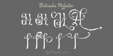 Betonila by TypeClassHeroes — Decorative Font — thumbnail 5
