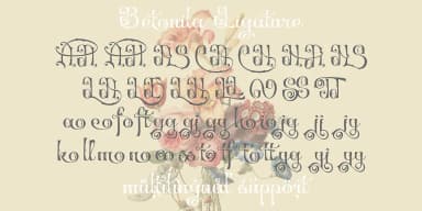 Betonila by TypeClassHeroes — Decorative Font — thumbnail 8
