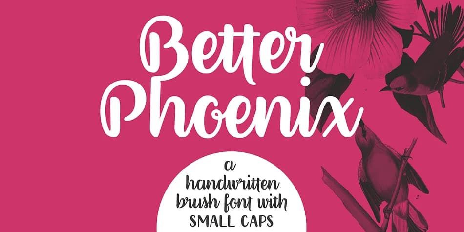 Better Phoenix by Ana's Fonts — Script Handwritten Font — preview 1