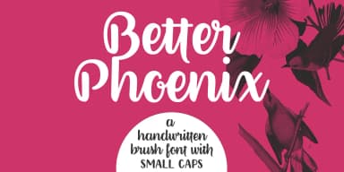 Better Phoenix by Ana's Fonts — Script Handwritten Font — thumbnail 1