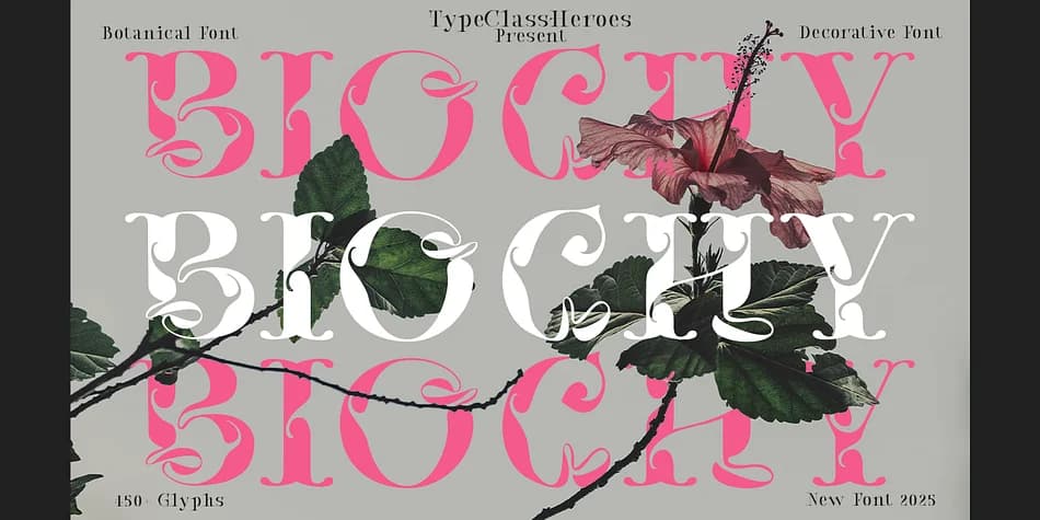 Biochy by TypeClassHeroes — Decorative Font