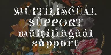 Biochy by TypeClassHeroes — Decorative Font — thumbnail 10