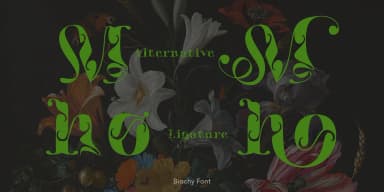 Biochy by TypeClassHeroes — Decorative Font — thumbnail 4