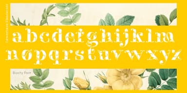 Biochy by TypeClassHeroes — Decorative Font — thumbnail 5