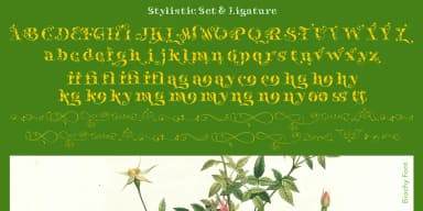 Biochy by TypeClassHeroes — Decorative Font — thumbnail 9