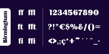 Birmingham Pro by SoftMaker — Decorative Font — thumbnail 4