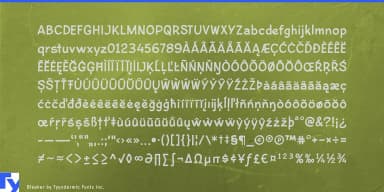 Bleeker by Typodermic Fonts Inc. — Decorative Font — thumbnail 5