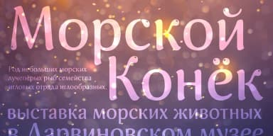 Blick by ParaType — Display Font — thumbnail 6