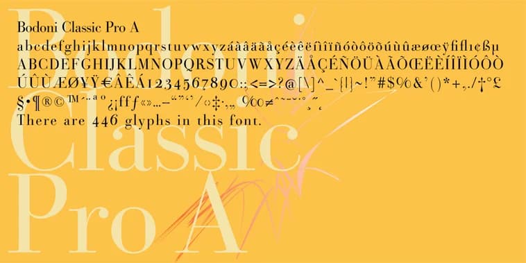 Bodoni Classic Pro by Wiescher-Design — Dingbats Font
